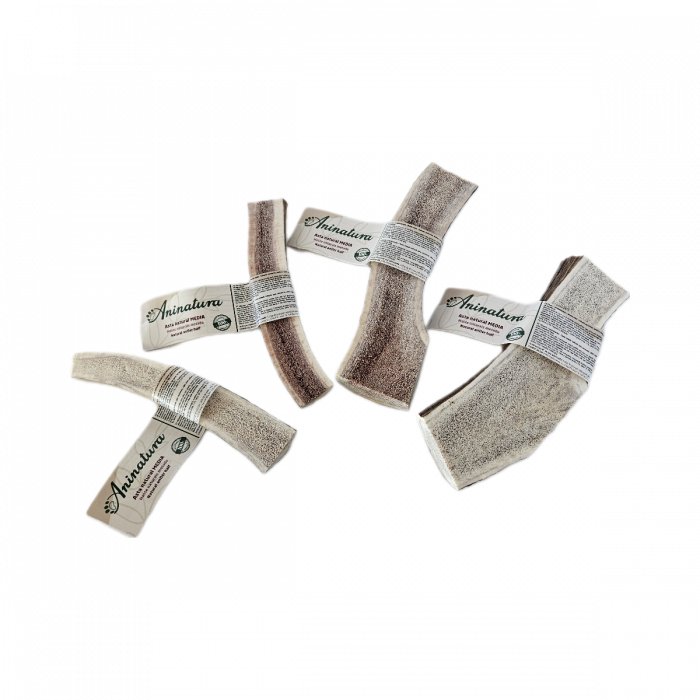 Aninatura Astas MEDIAS naturales