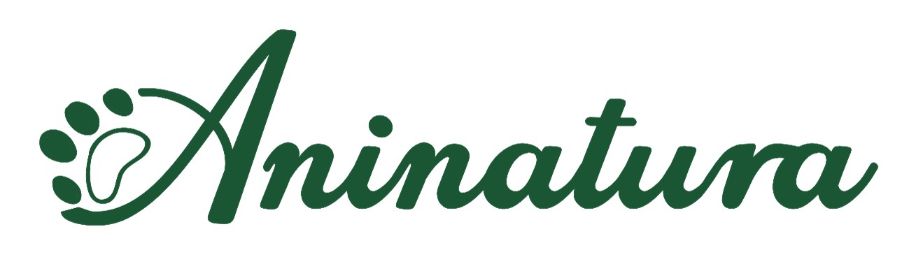 Logo aninatura