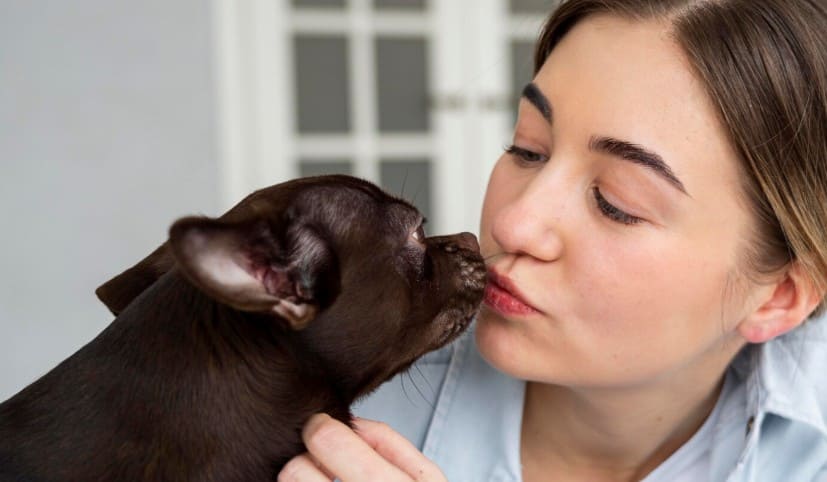 Microbiota intestinal, qué es