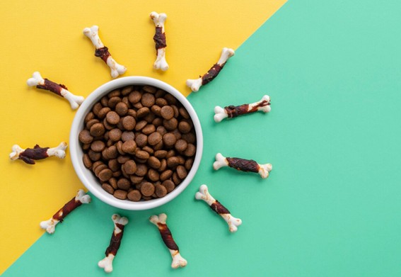 Piensos complementarios