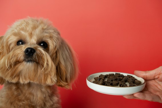 Qué contiene la dieta BARF