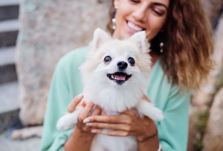 ventajas del aceite de salmón en los perros