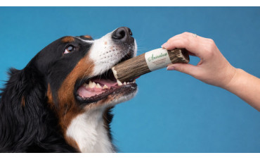 Desmogue del ciervo y las astas naturales: el mejor mordedor para perros