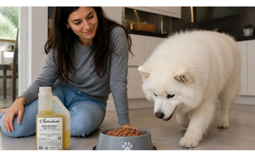 Aceite de comino negro para perros: beneficios, usos y propiedades