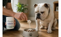Mejillón de labio verde para perros: beneficios y propiedades